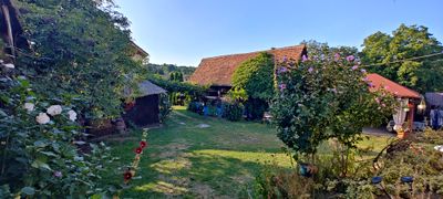 The guesthouse courtyard and garden, with roses in bloom