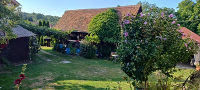 The guesthouse garden, with rose of Sharon in bloom