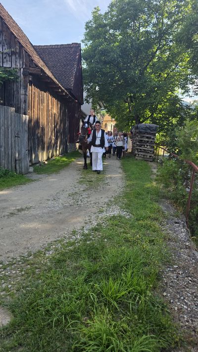 A decorated horse, led along the lane behind the guesthouse