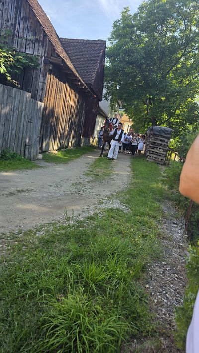 A decorated horse, led in a folk parade along the village lane