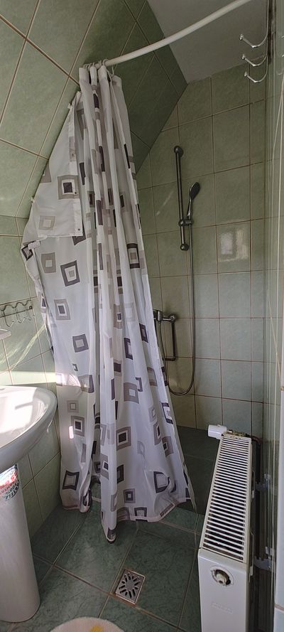 A private bathroom, with shower and radiator