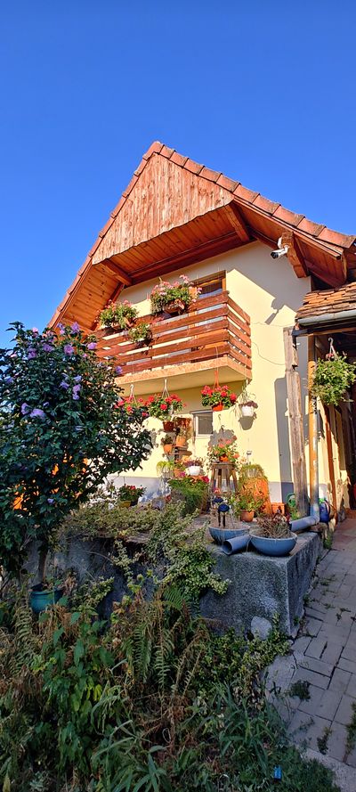 The guesthouse's wooden balcony, covered in flowers and grapevine
