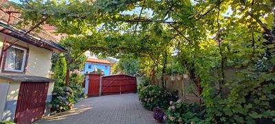 The entrance to the courtyard, under a grapevine arbour