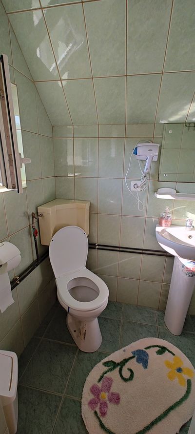 A private bathroom, with toilet and bath mat